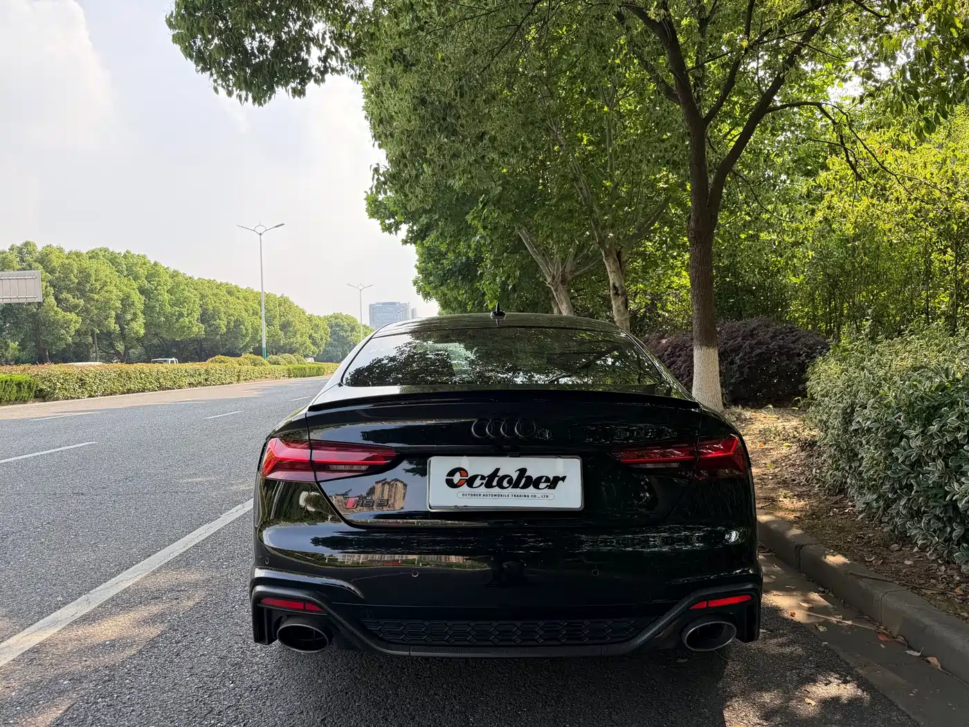 Audi RS 5 2023 Model RS 5 2.9T Sportback Dark Gold Edition фото 15
