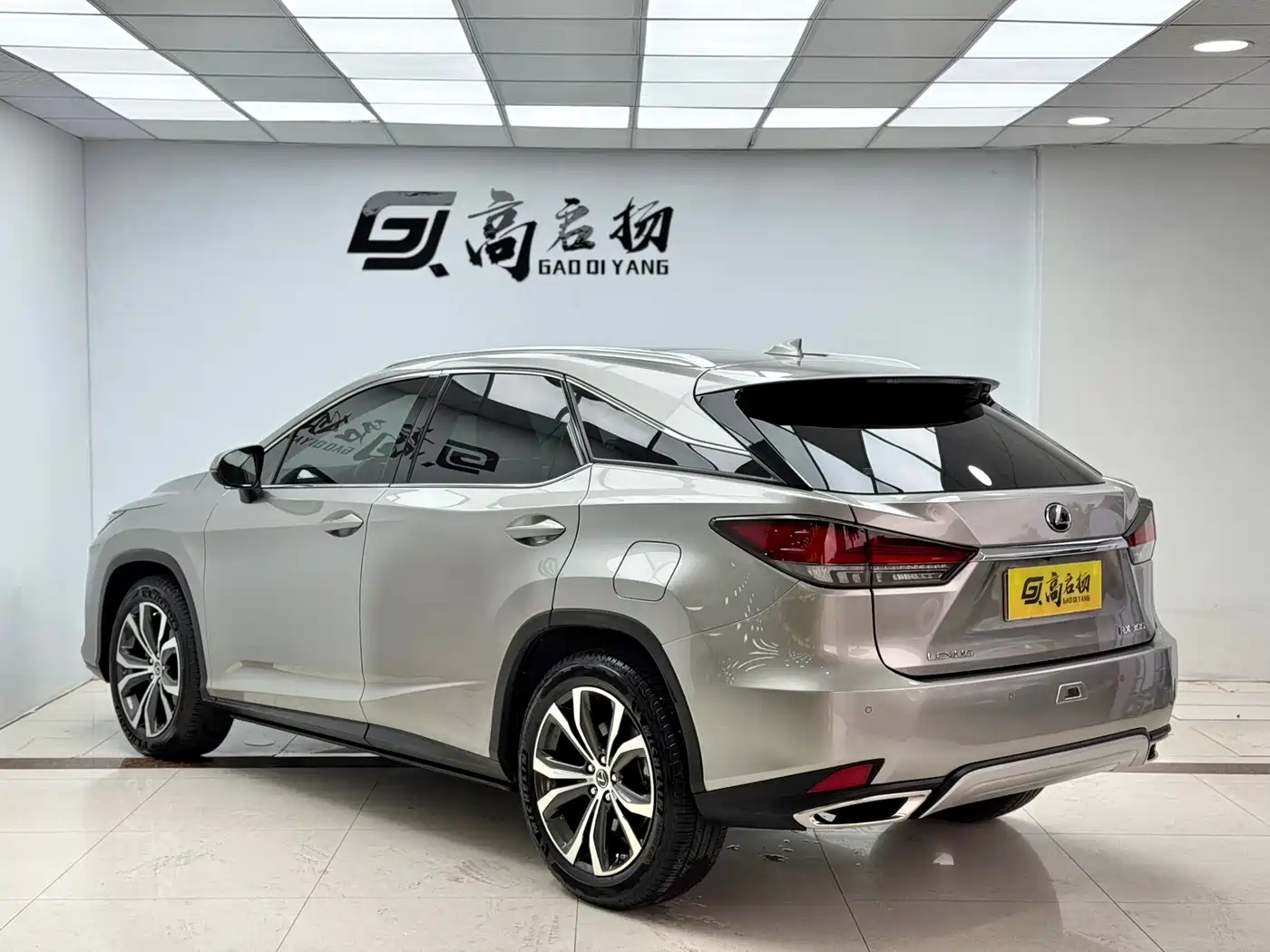 Lexus RX 2020 300 4WD Elegance Edition China VI фото 28