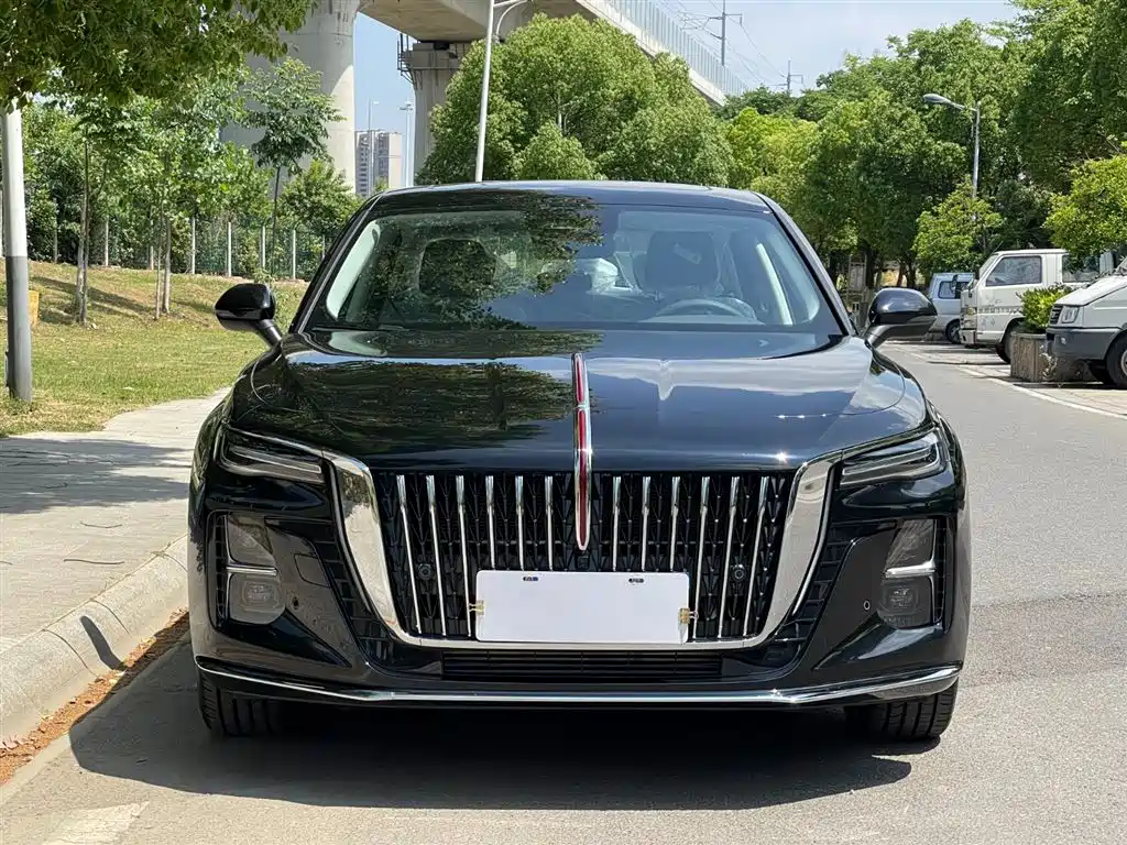 Hongqi H5 2025 2.0T Automatic Flag Celebration 500,000 Units Anniversary Edition фото 3