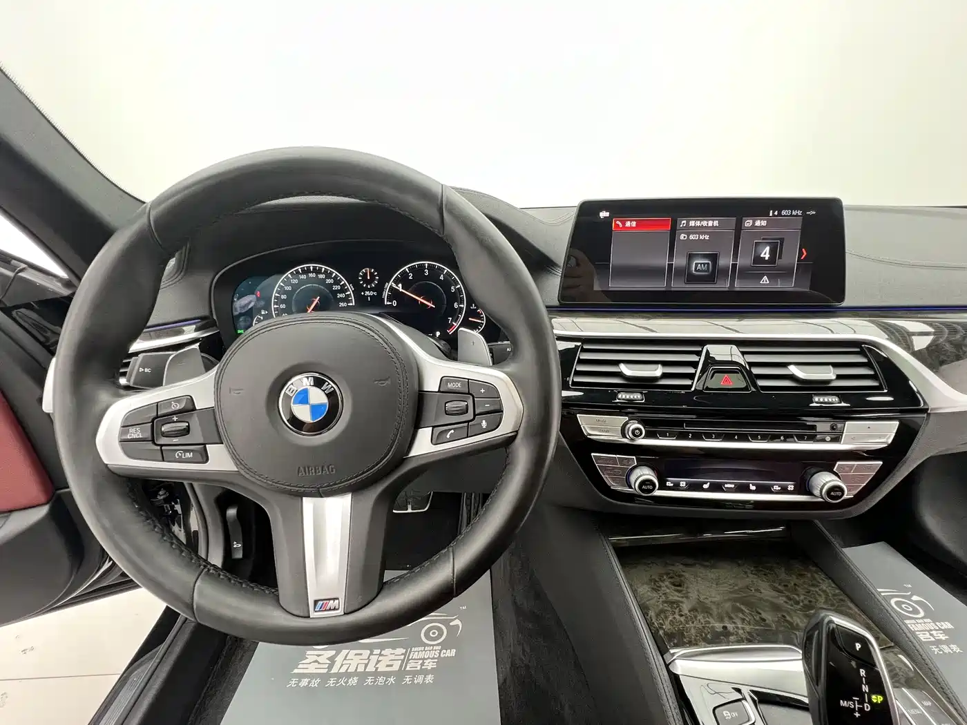 BMW 5 Series 2019 530Li Leading M Sport Package фото 9