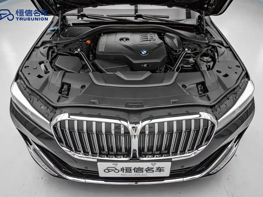 BMW 7 Series 2019 730Li Luxury Package фото 21
