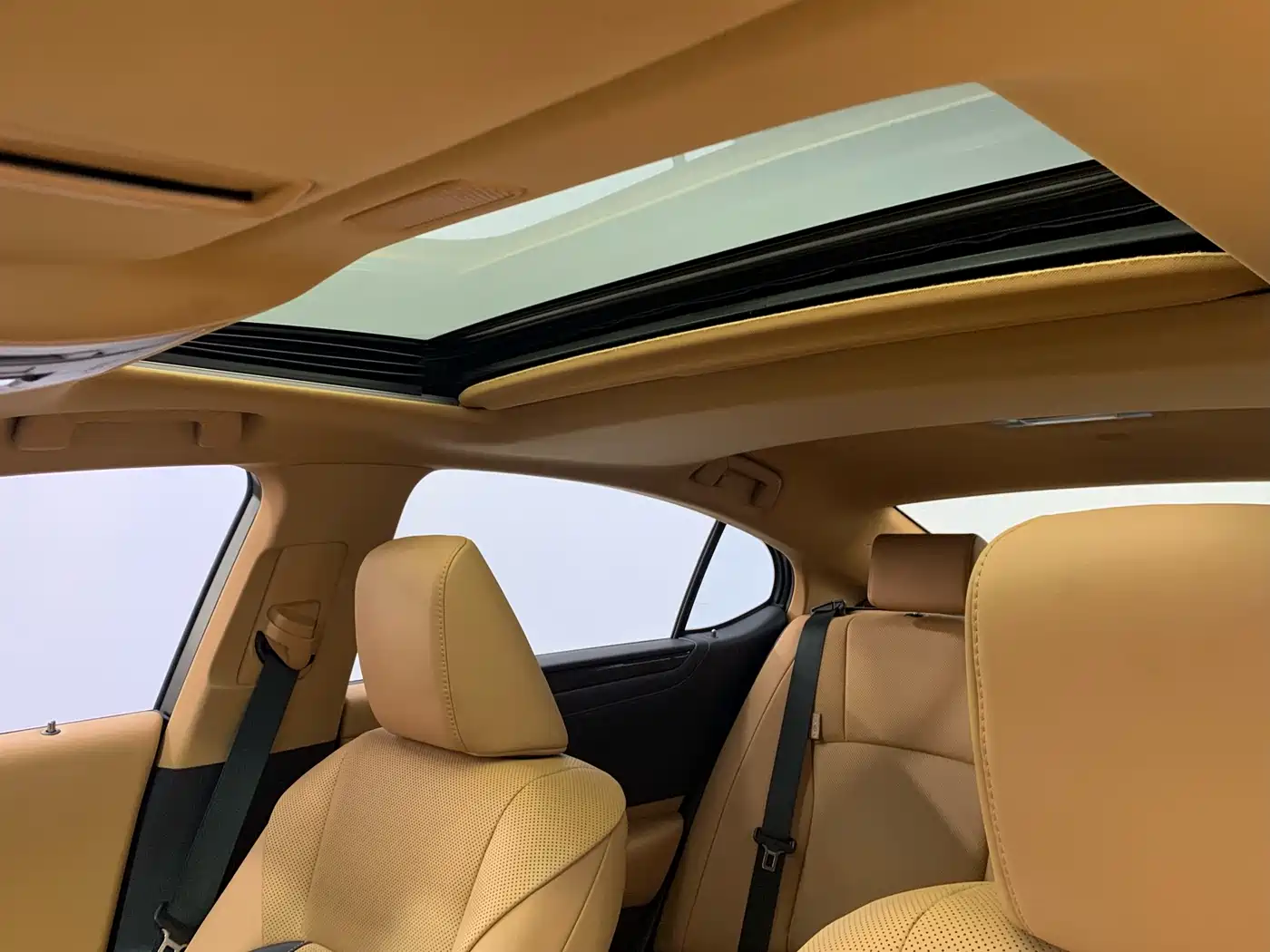 Lexus ES 2022 200 Excellence Edition фото 16