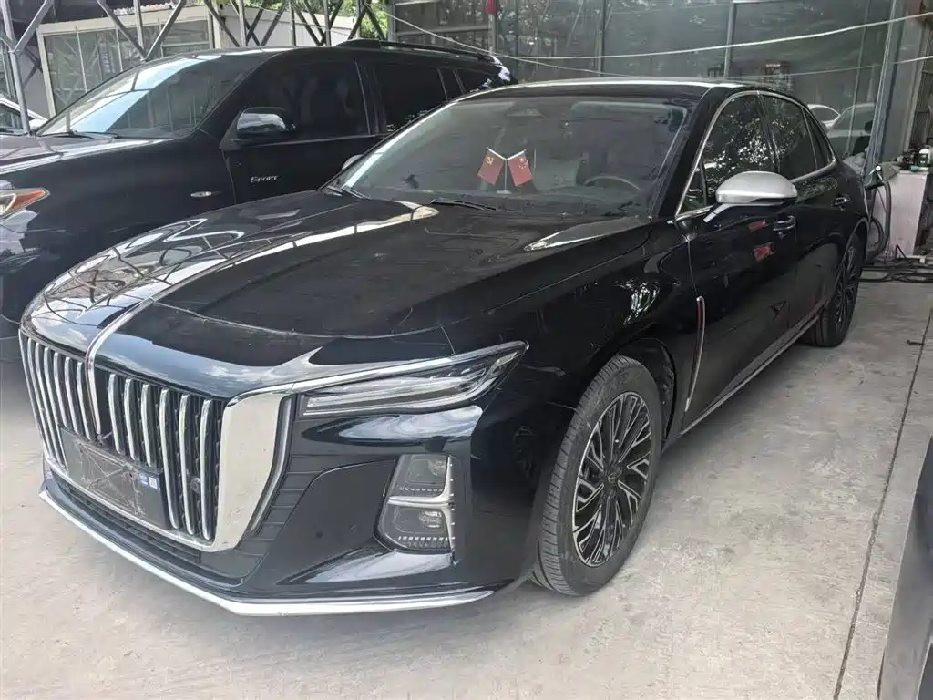 Hongqi H5 2024 2.0T Automatic Smart Connect Flag Smooth Edition фото 2
