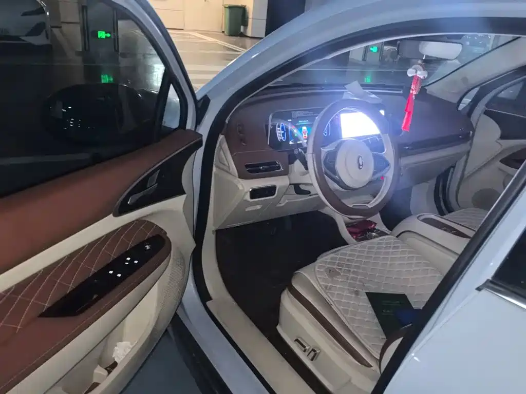Ora Good Cat 2024 2023 401km Standard Range Luxury LFP
