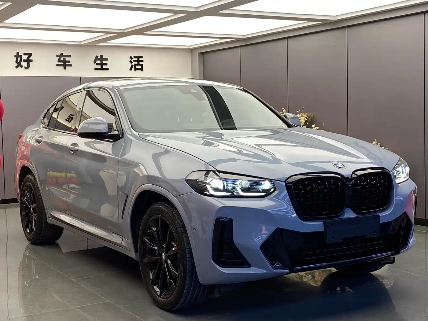 BMW X4 2022 xDrive 30i M Sport Blackout Package фото 3