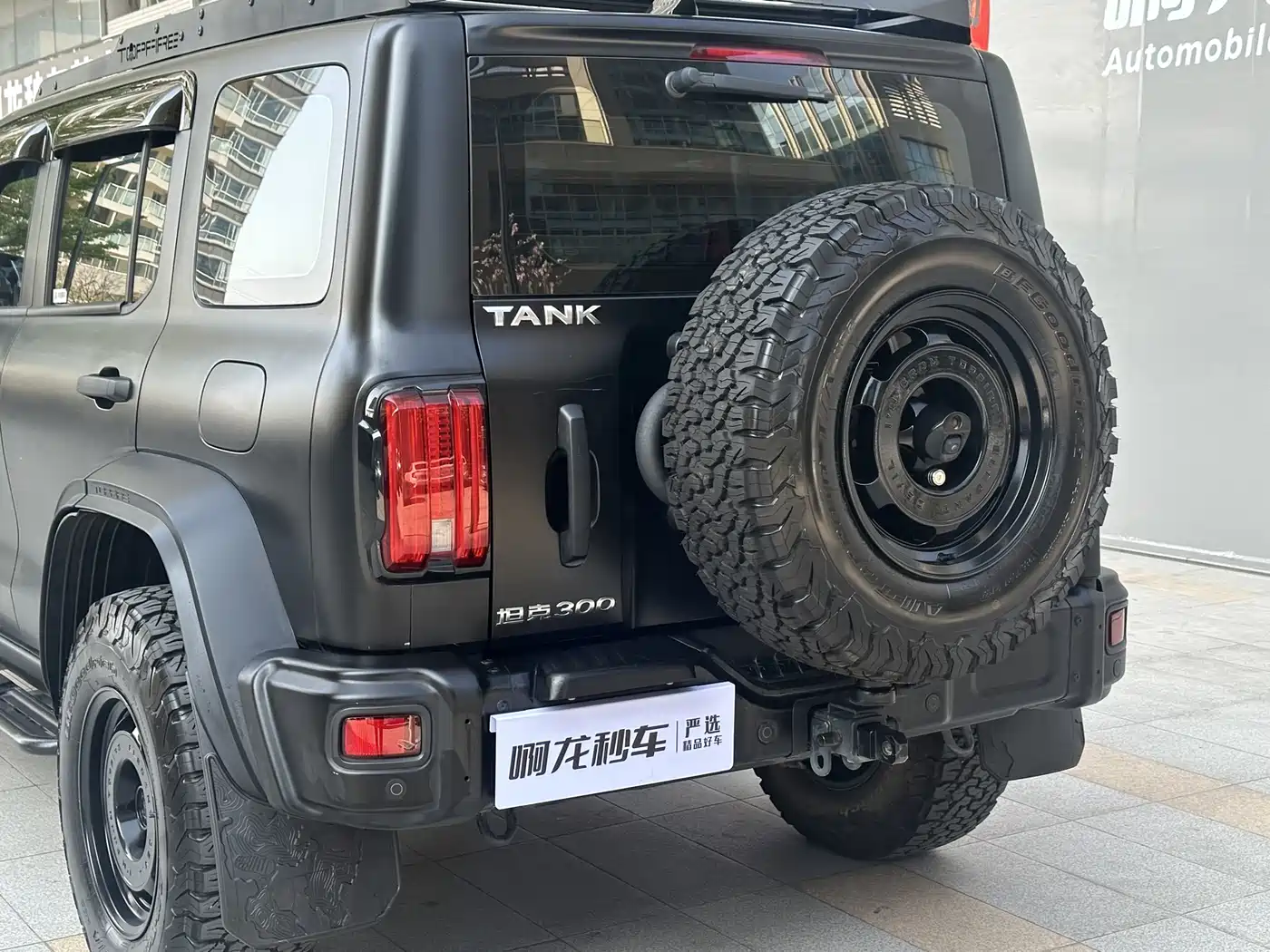 TANK 300