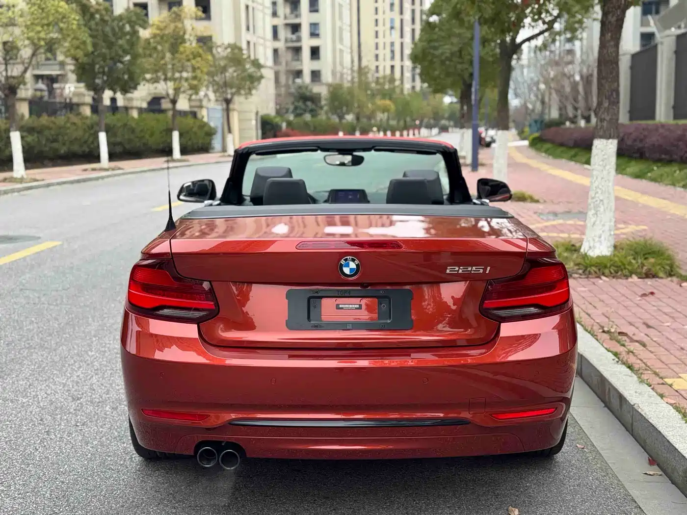 BMW 2 Series (Import) 2019 225i Convertible Coupe Sport Design Package фото 12