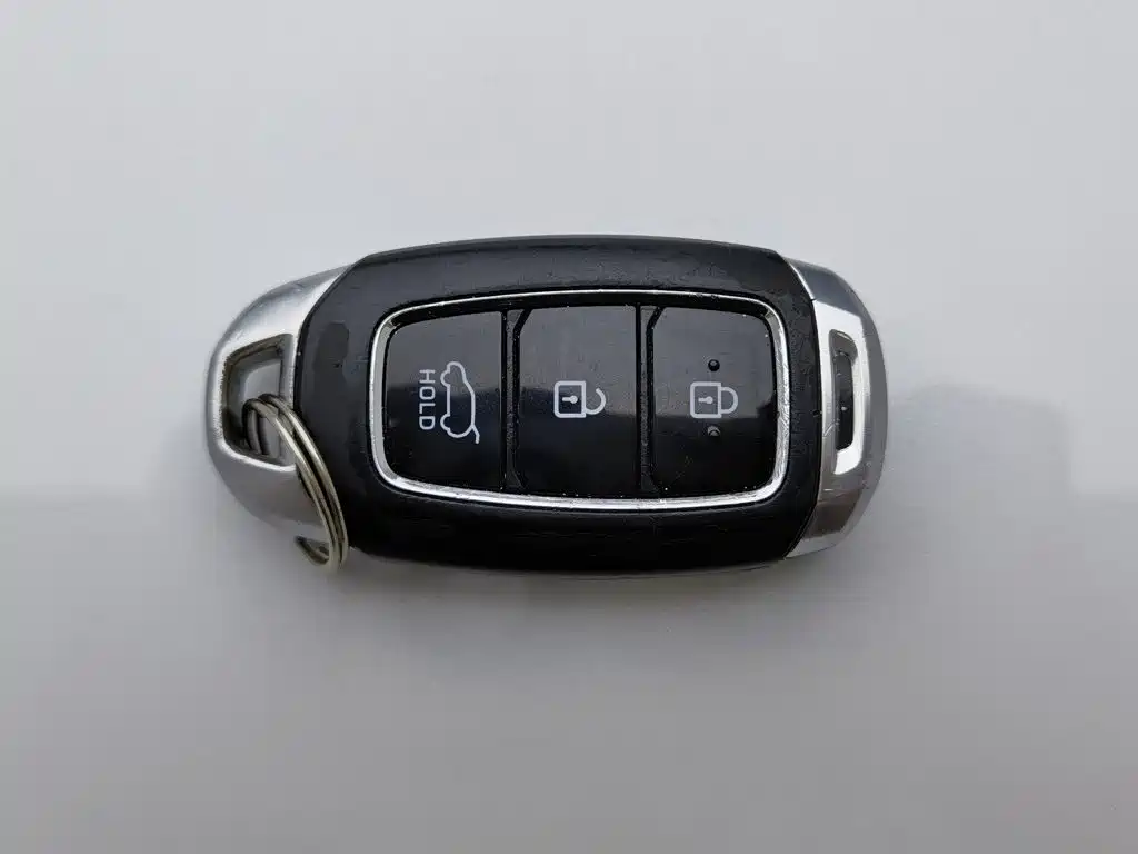 Hyundai Santa Fe 2021 2020 380 TGDi Auto 2WD DLX Premium PLUS