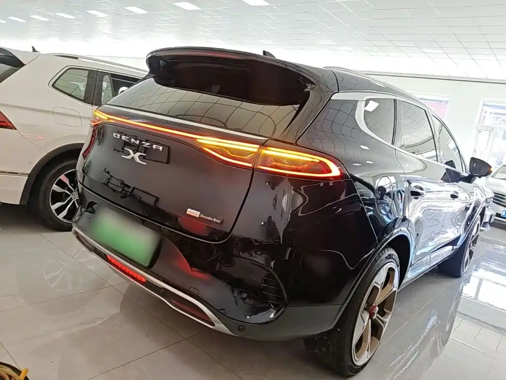 Denza X 2021 2020 Model PHEV Flagship Edition