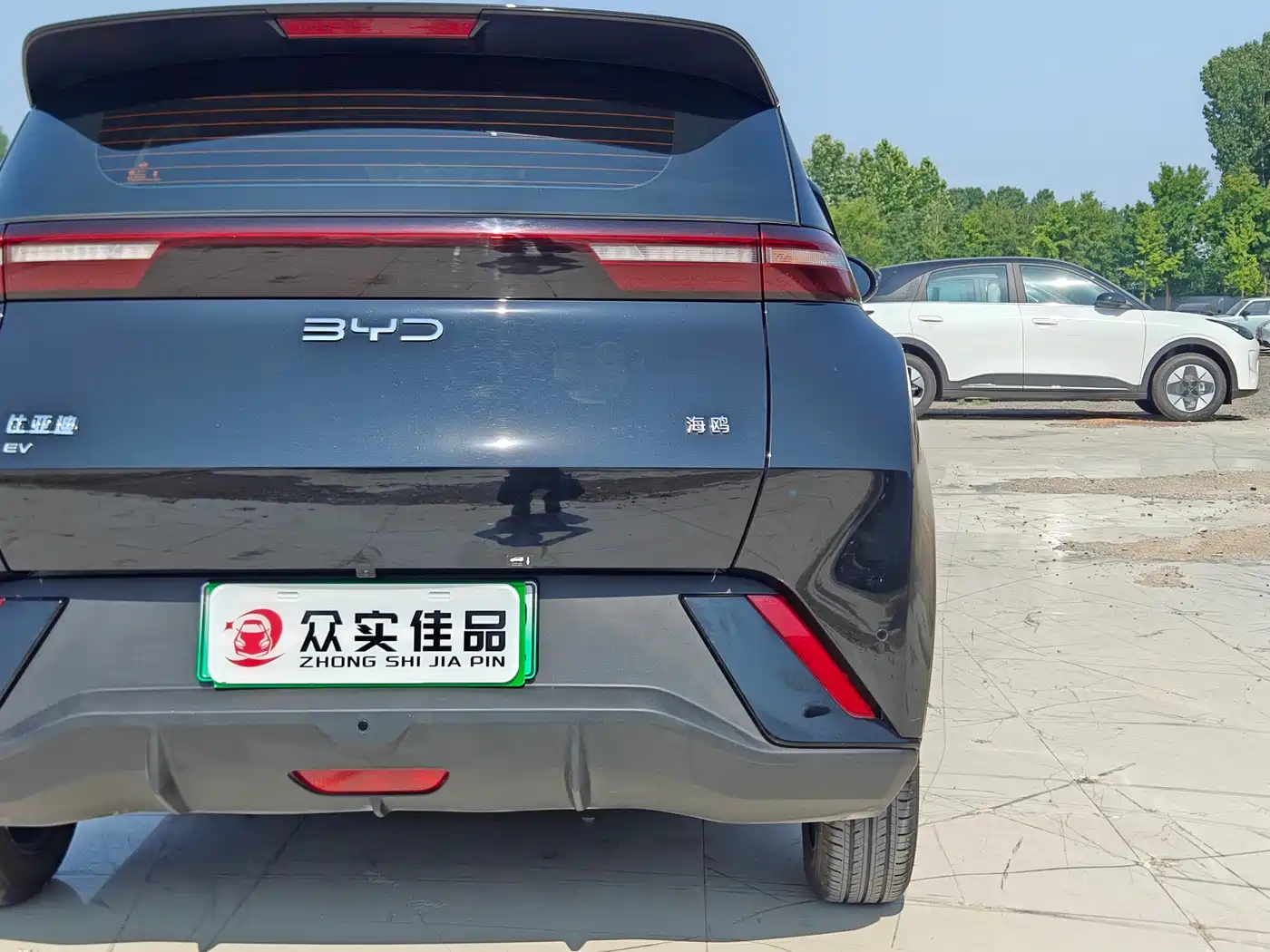 BYD Seagull 2025 305km Vitality фото 23