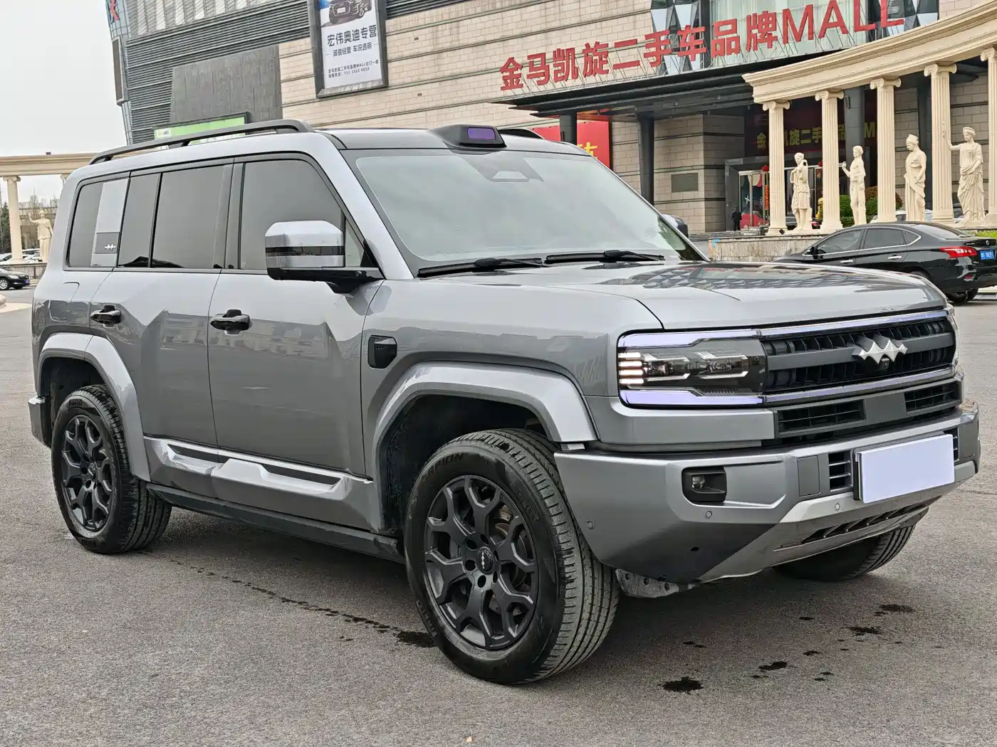 FANG CHENG BAO LEOPARD 5