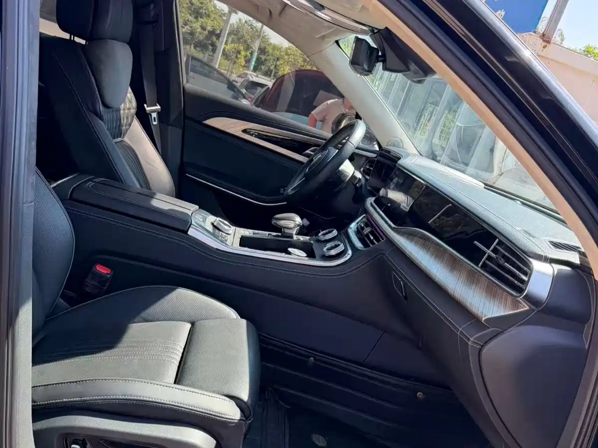 Фото 7 - Hongqi H9