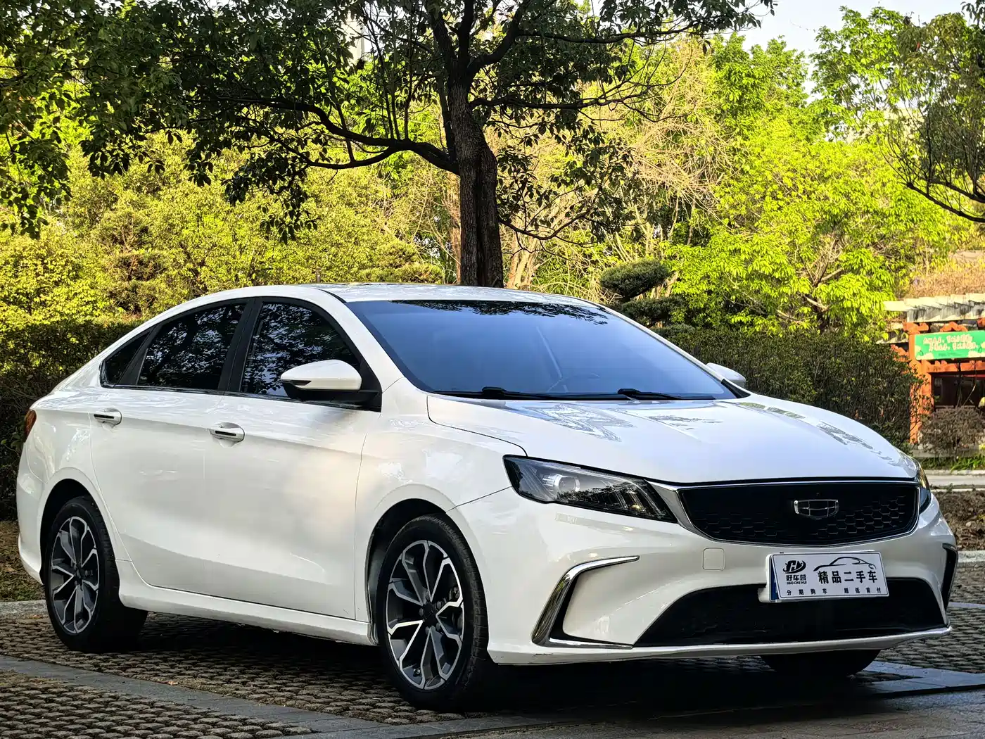GEELY AUTOMOBILE BINRUI
