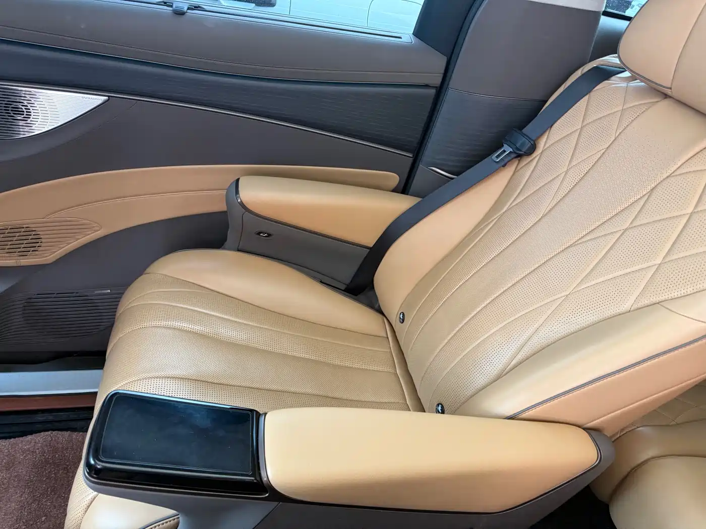 Denza D9 2022 DM-i 970 AWD Flagship фото 9
