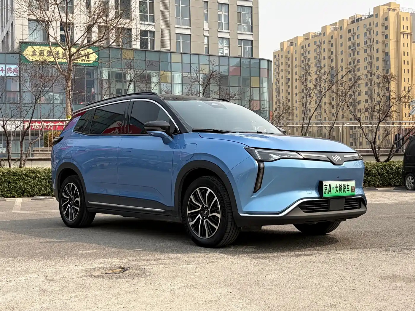 Weltmeister WEIMA W6