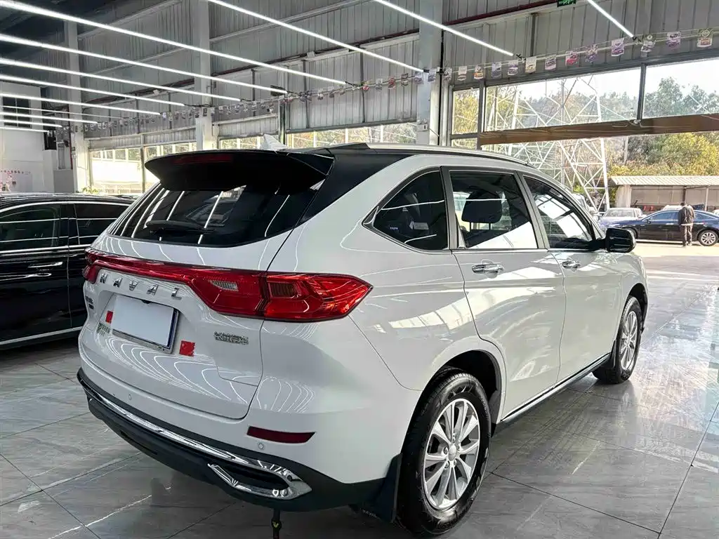 HAVAL M6