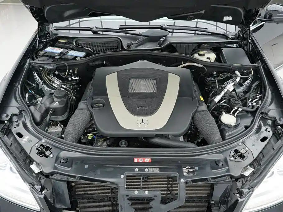 Mercedes-Benz S-Class 2010 S 300 L Luxury фото 34