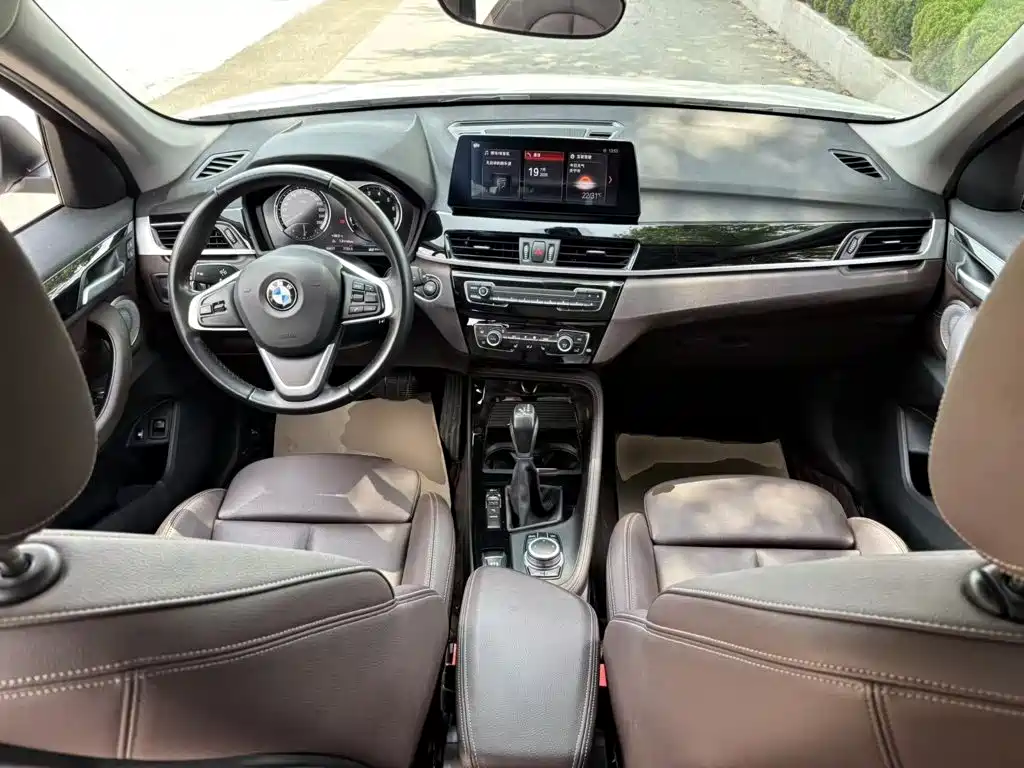 BMW X1 New Energy 2020 2020 xDrive30Le Premium Edition