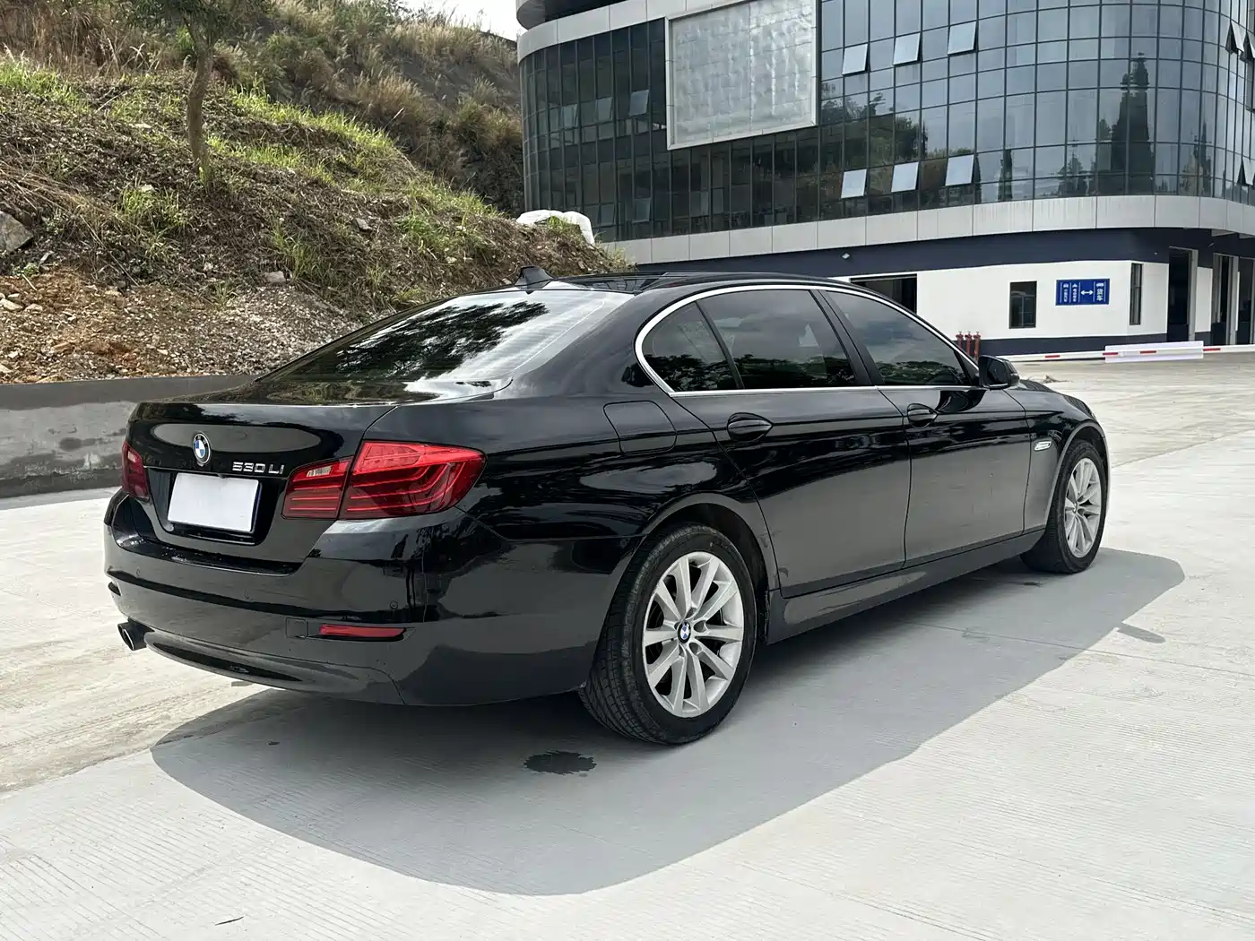 BMW 5 Series 2014 530Li Leading фото 9