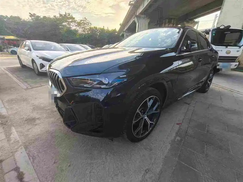 BMW BMW X6 2023 xDrive40i Premium M Sport Package