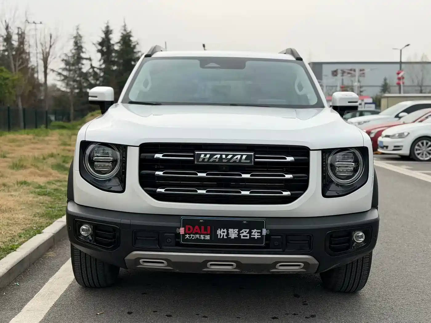HAVAL BIG DOG