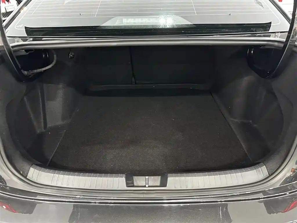 Photo 33 - Volkswagen Sagitar