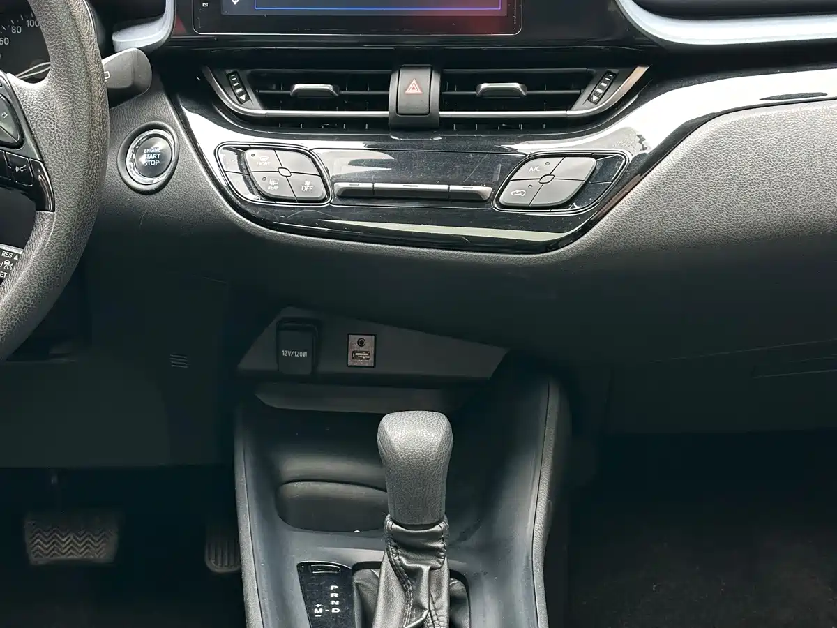 Toyota IZOA 2021 2021 2.0L Yixing Edition