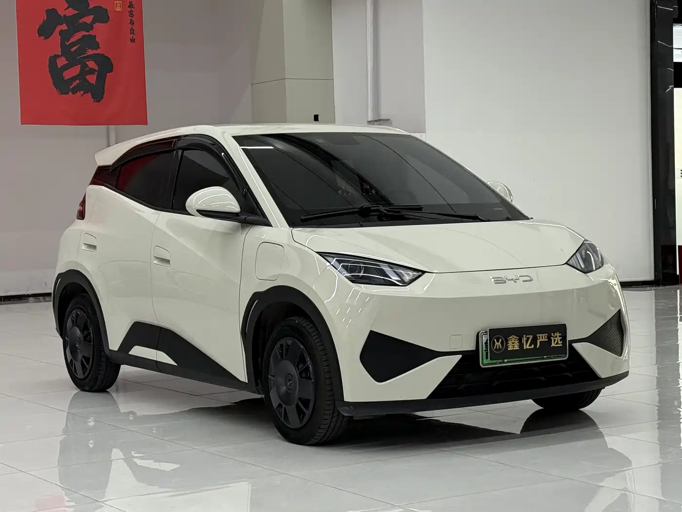 BYD Seagull 2025 Smart Drive Edition 305km Vitality Version фото 3