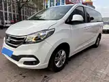 Фото 1 - Maxus G10