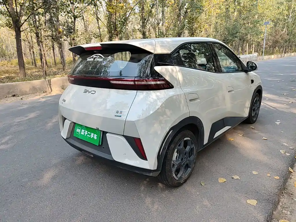 BYD Seagull 2026 2025 Smart Drive Edition 305km Freedom Version