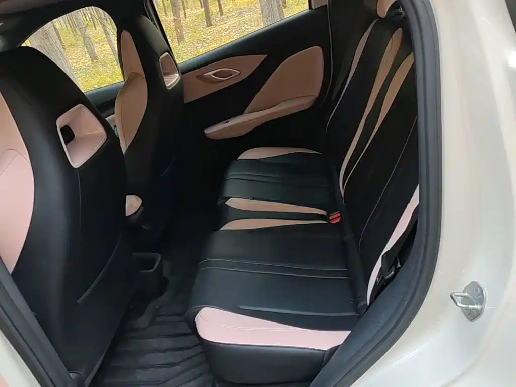 BYD Seagull 2026 2025 Smart Drive Edition 305km Freedom Version