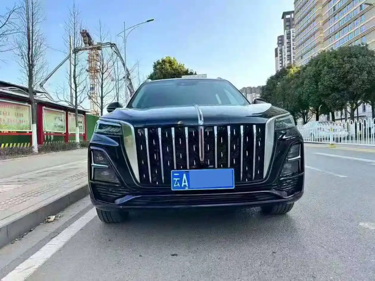 Hongqi HS5 2023 2.0T Flag Enjoy Pro Edition фото 2