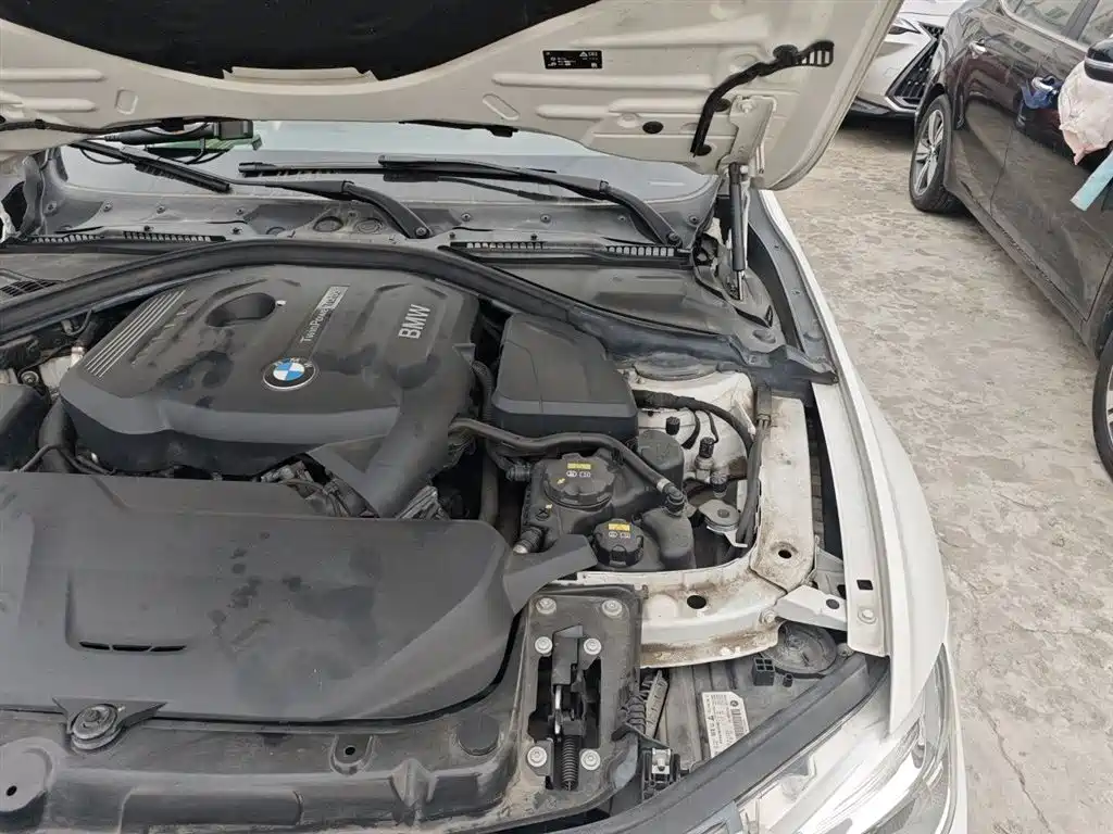 BMW 3 Series 2019 320Li M Sport Package фото 22