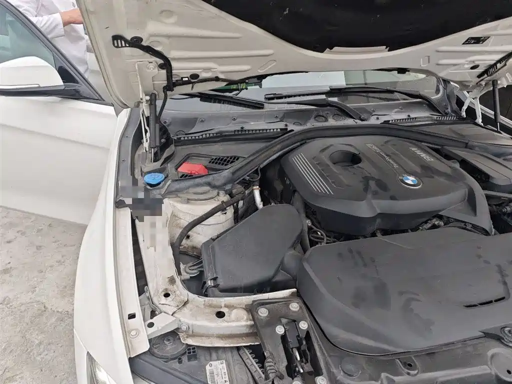 BMW 3 Series 2019 320Li M Sport Package фото 21