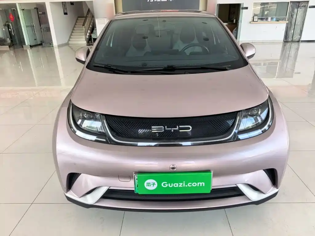 Фото 3 - BYD Dolphin