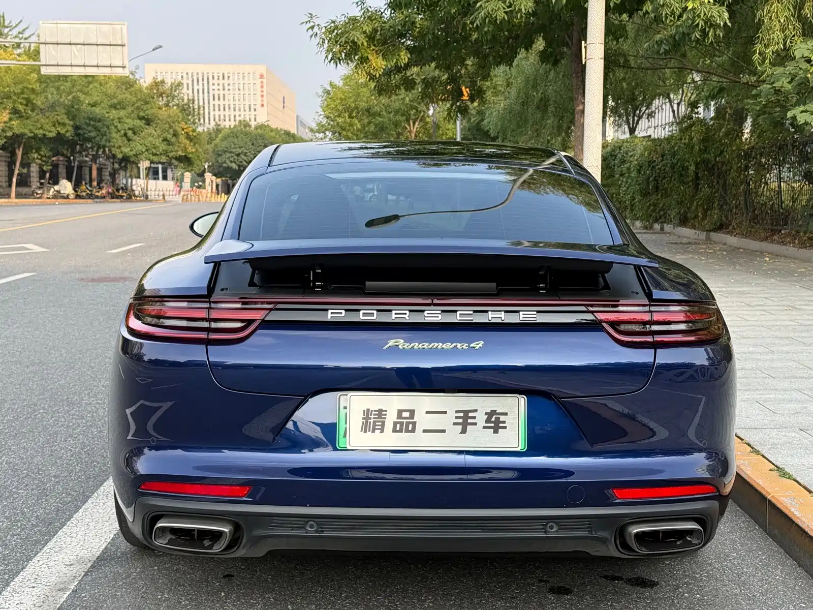 صورة 6 - Porsche Panamera New Energy