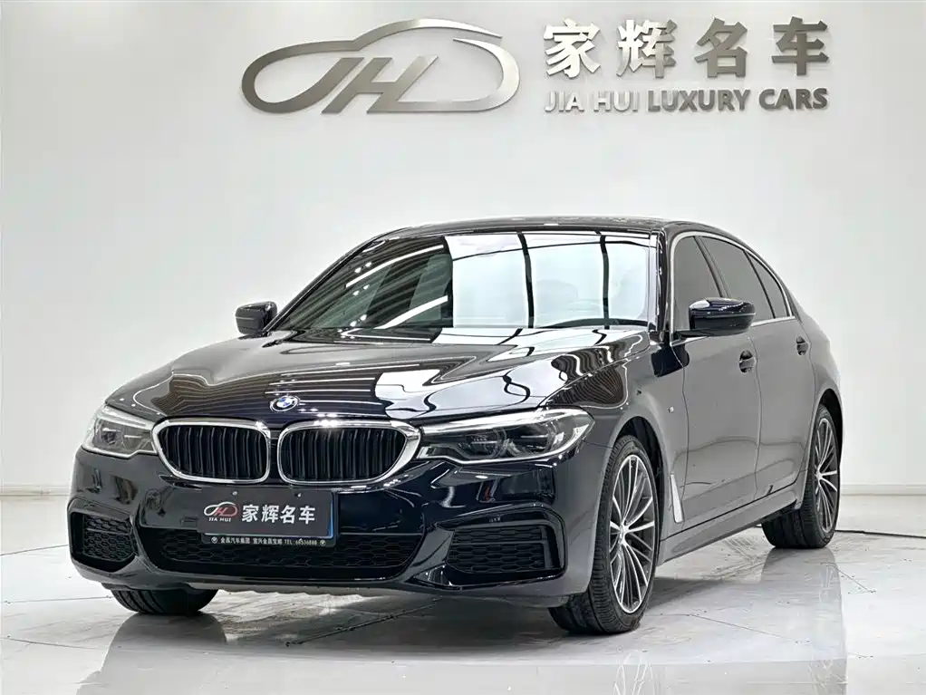 BMW 5 Series 2020 530Li Leading M Sport Package