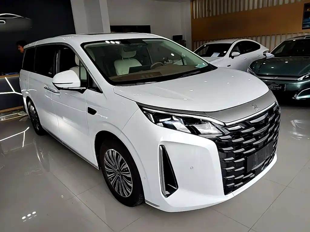 BYD Xia 2025 2025 DM-i 1.5T 180km Surpass Edition