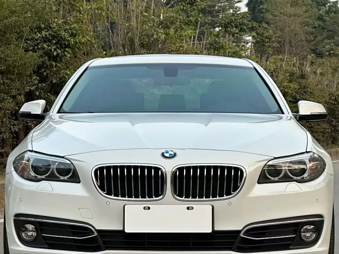 BMW 5 Series 2014 525Li Luxury Design Package фото 2
