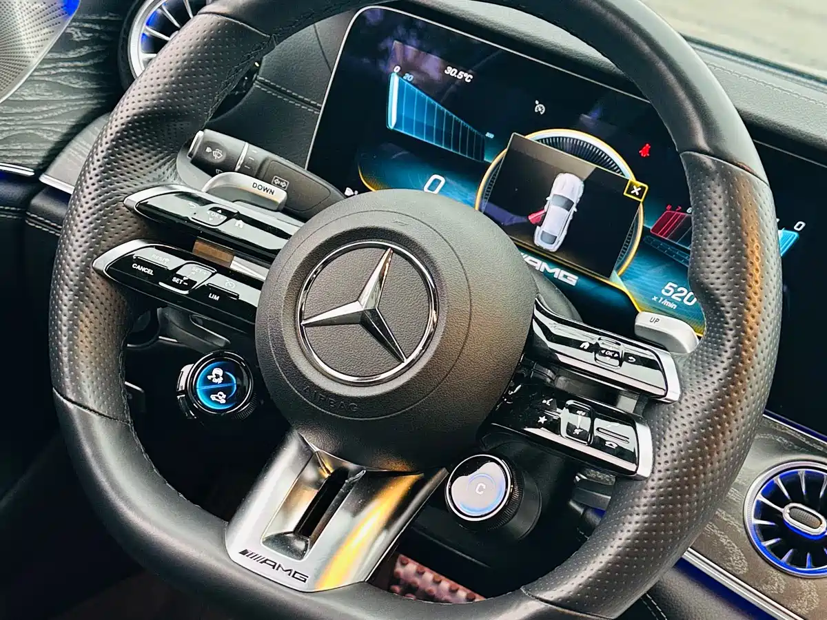 Mercedes-Benz AMG GT 2023 AMG GT 50 4MATIC+ 4-Door Coupe фото 16