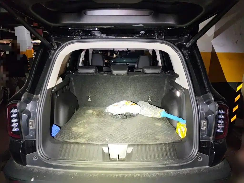 Haval Dargo 2024 2024 1.5T DCT Border Collie Edition