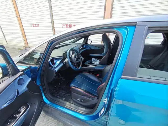 BYD Dolphin 2021 401km Knight Edition — фото 5
