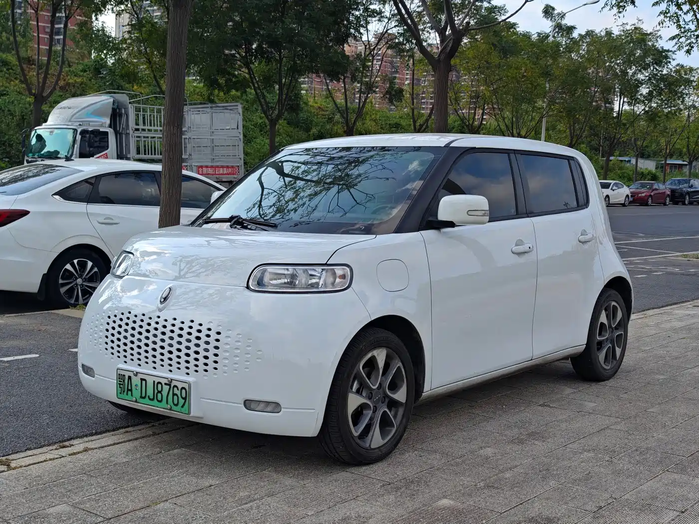 Ora White Cat 2021 2022 Upgraded 305km Luxury Edition LFP