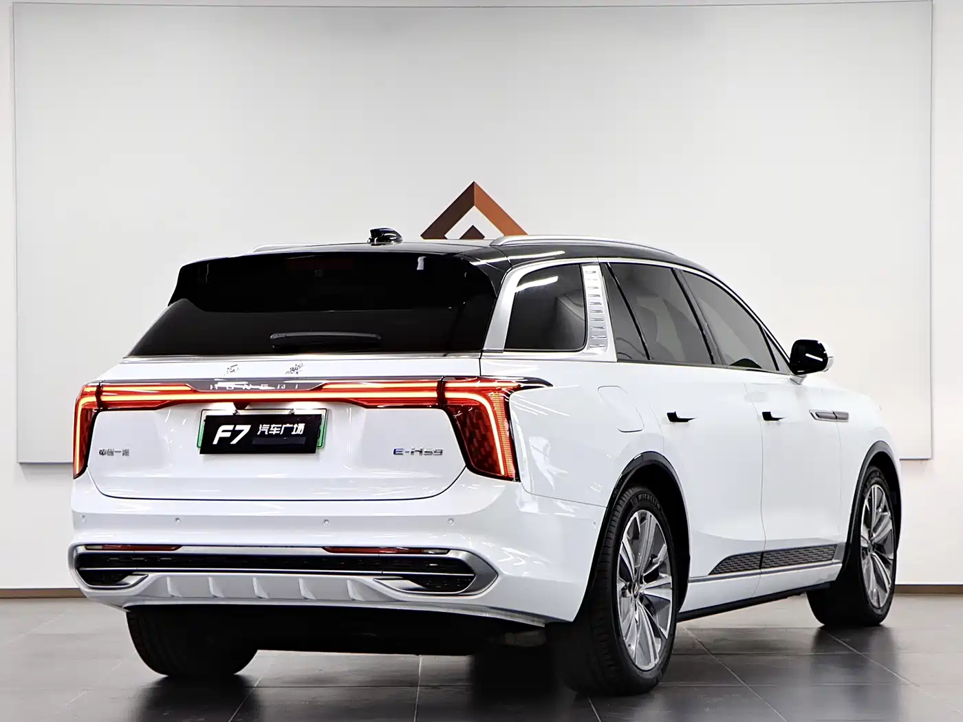 Hongqi E-HS9 2022 660km Qi Chang Edition (6-seater) фото 6