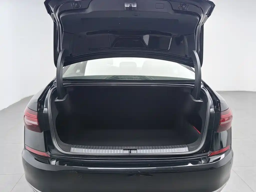 Фото 16 - Volkswagen Passat