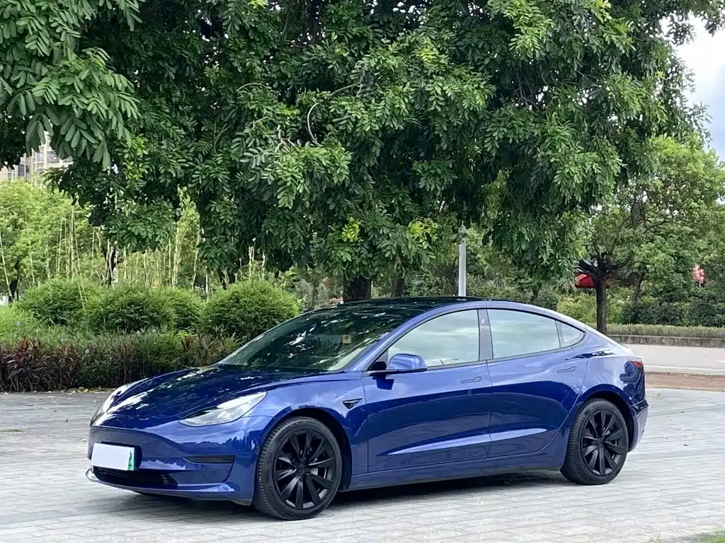 Tesla Model 3 2021
