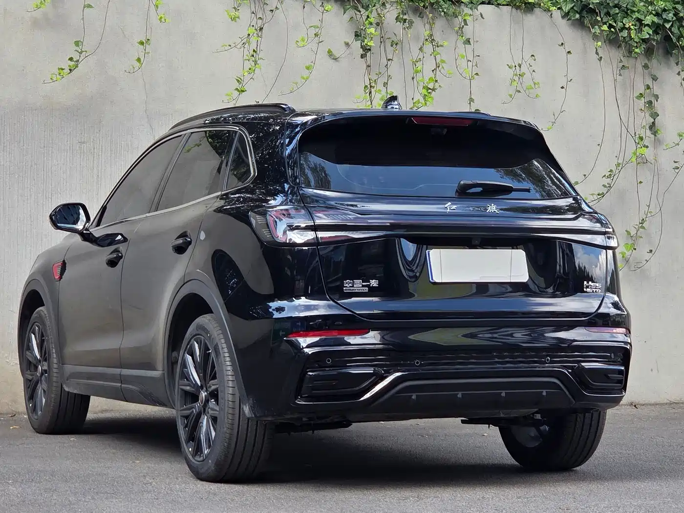 Hongqi HS5 2026 2026 2.0T 4WD Mystic Shadow Edition