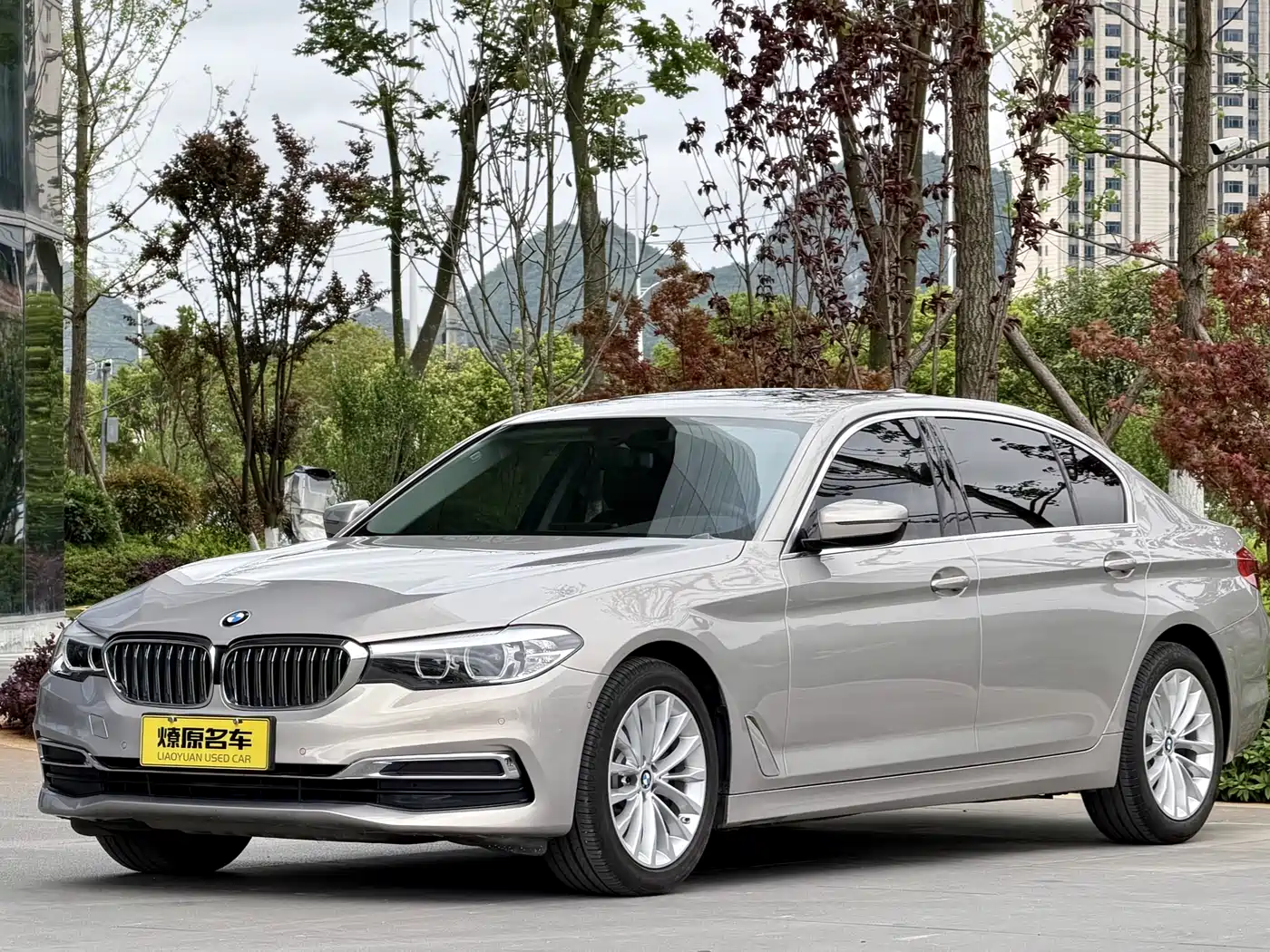 BMW 5 Series 2020 525Li Luxury Package