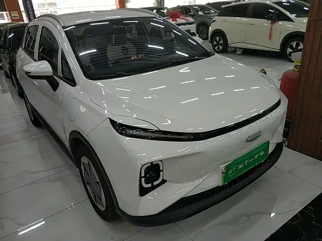 Geely Geometry E Firefly 2024 2024 401km Starlight
