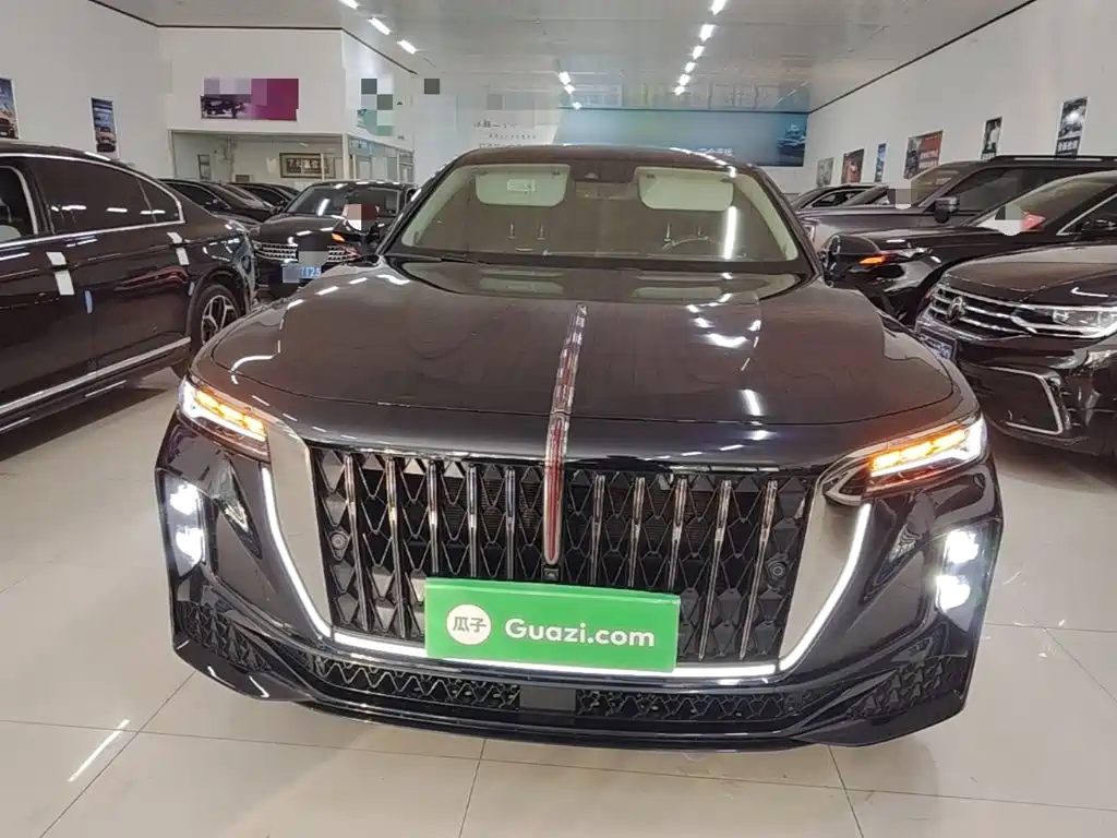 صورة 3 - Hongqi H9